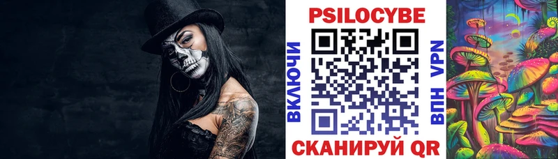 Галлюциногенные грибы Psilocybine cubensis  где купить наркоту  Каргополь 